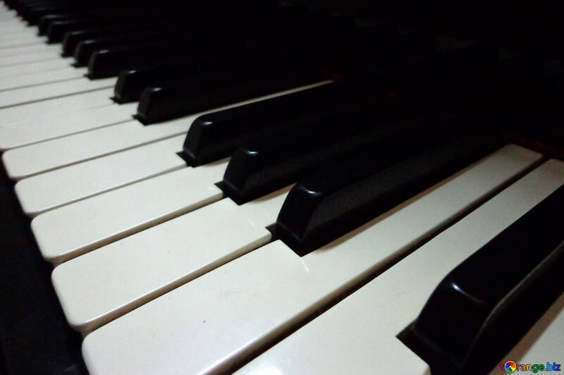 Piano keys №42958