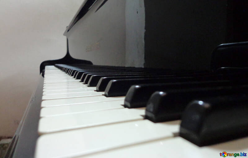 Piano keys №42959