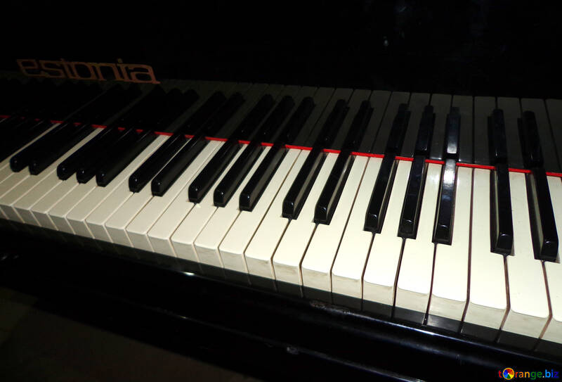Рояль клавіатура №42907