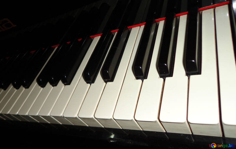 Piano Keyboard №42908