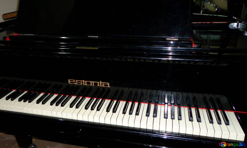 ピアノの鍵盤 №42913