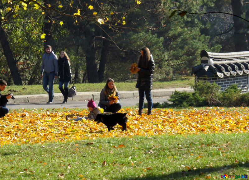 People walk in the autumn garden №42221