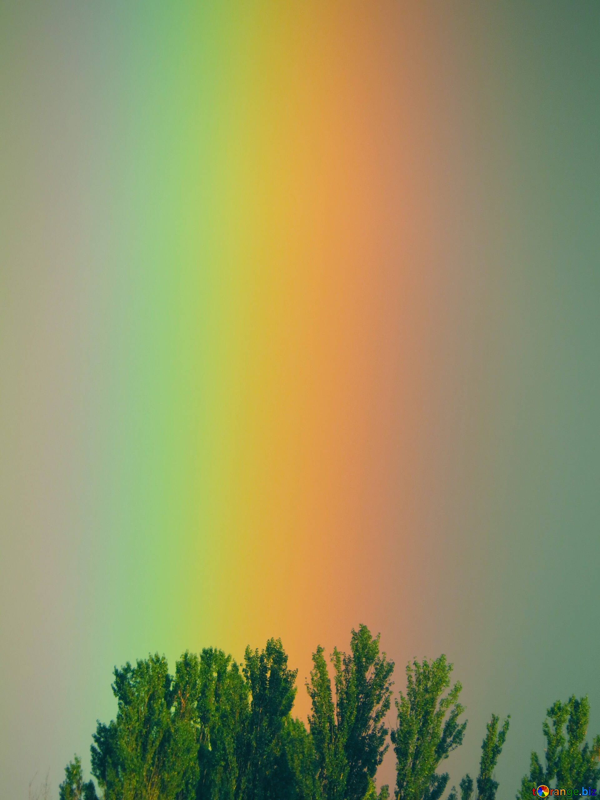 虹 無料の写真 レインボーグラデーション 無料の写真 ライト Torange Biz