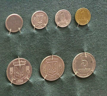 ウクライナの珍しいコイン №43518