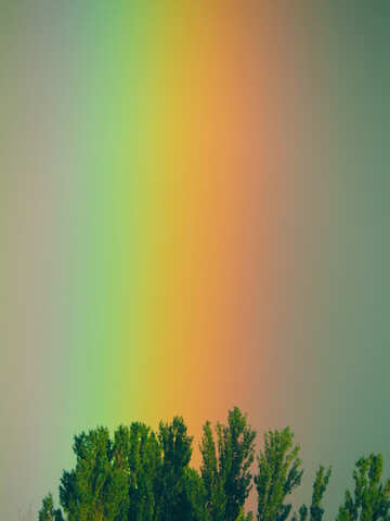 Pendiente del arco iris №43246