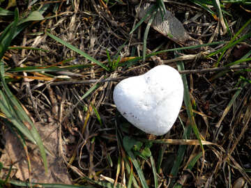 Heart  from snow on  grass  №43082