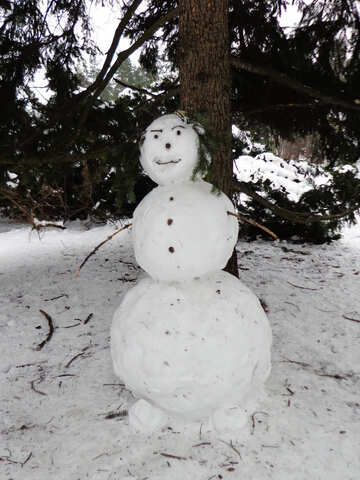 Snowman №43059
