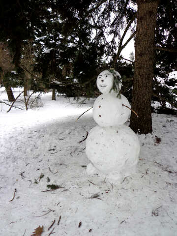 Snowman №43060