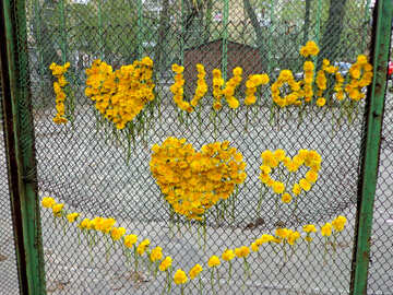 Ich liebe Ukraine №43025