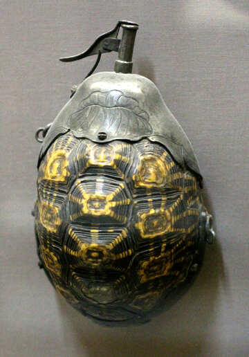 Flask di tartarughe №43624