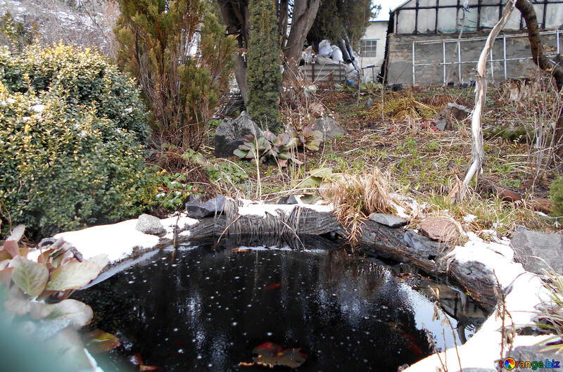冬の人工池 №43106