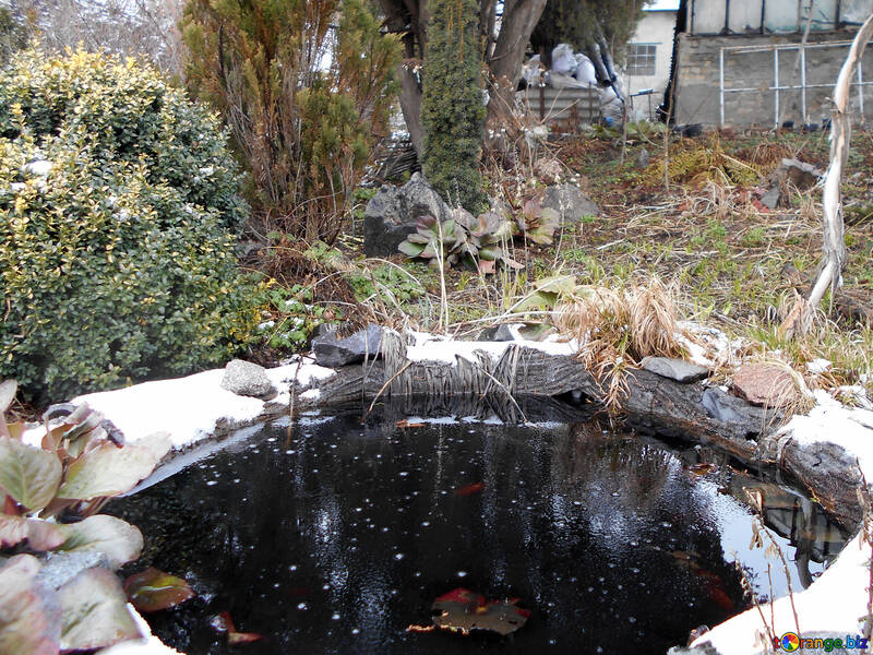 冬の人工池 №43107