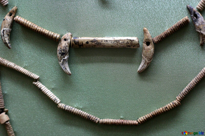 Beads of bone №43820