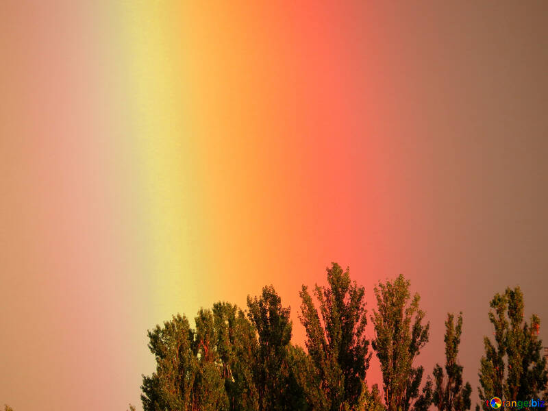 Rainbow in the sky №43247