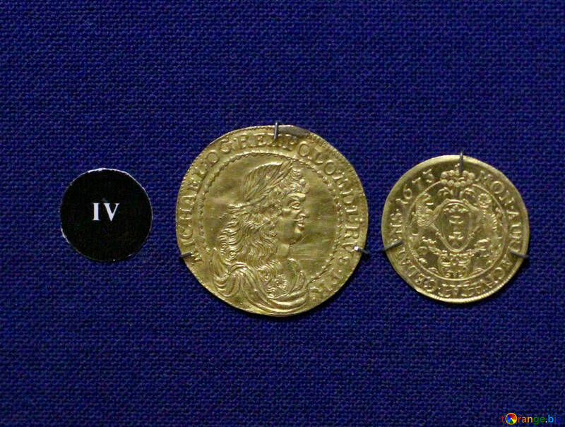 Gold doubloon №43428