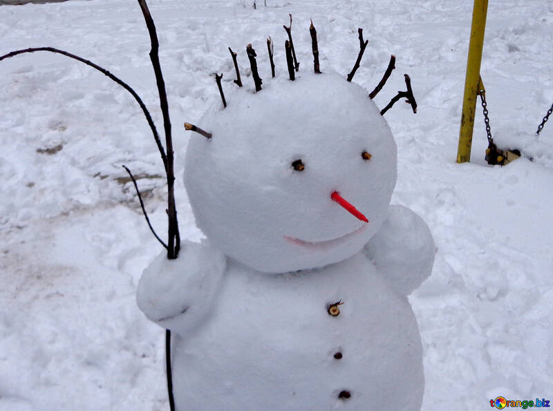 Children dazzled snowman №43054