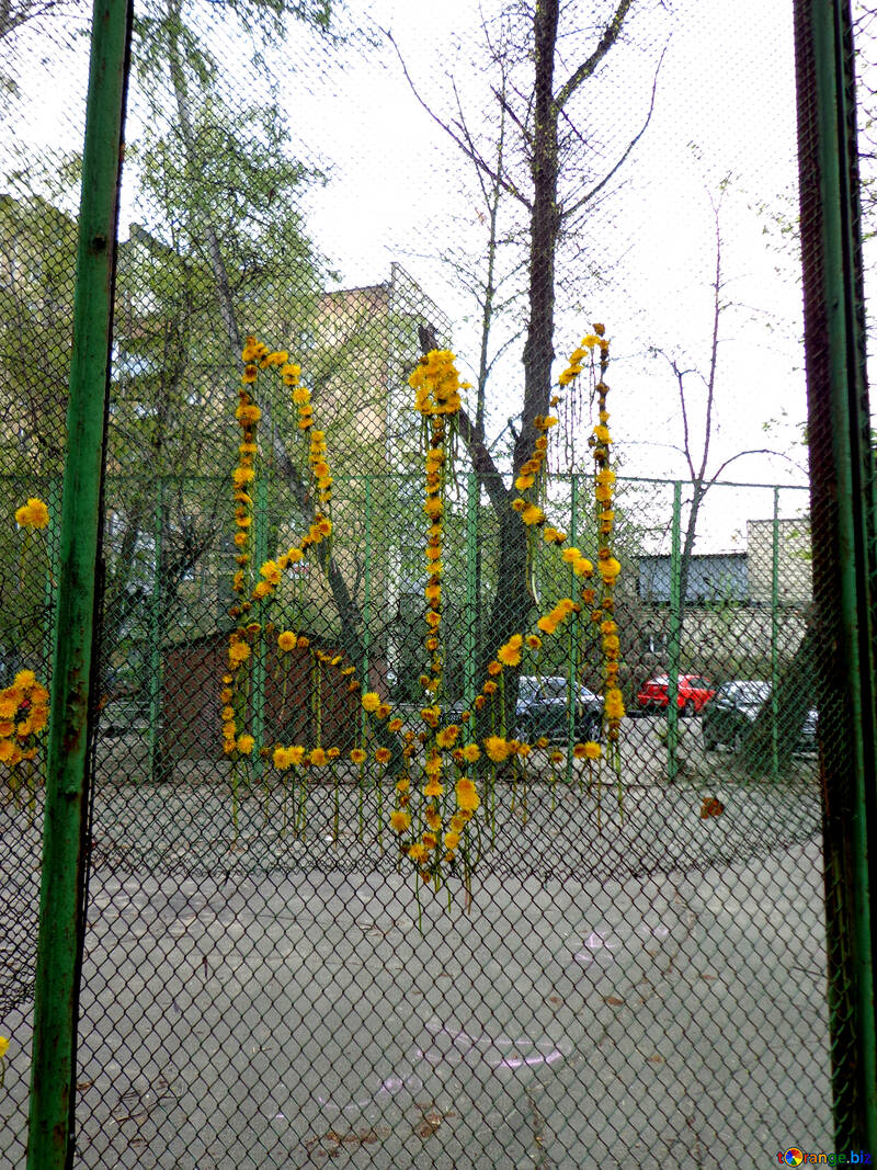 Emblem of Ukraine of flowers №43026