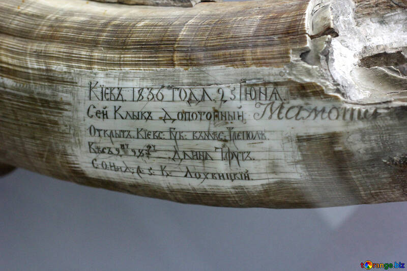 Ancient inscription №43772