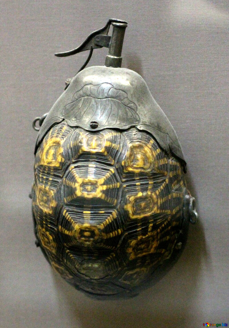 Flask di tartarughe №43624