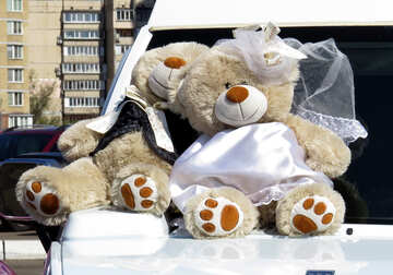 Wedding Bears on the hood №44442