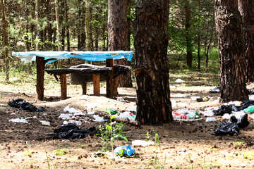 Rubbish in the forest №44818