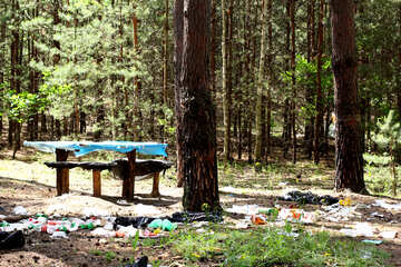 Rubbish in the forest №44819