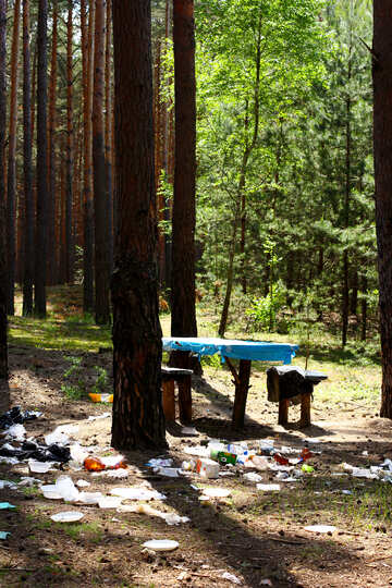 Rubbish in the forest №44820