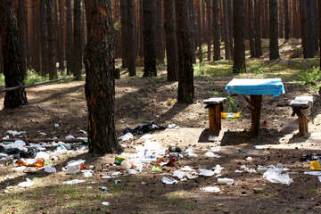 Rubbish in the forest №44822