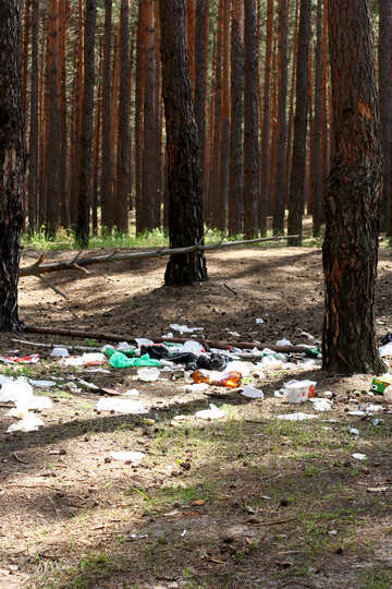 Müll im Wald №44824