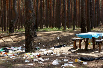 Rubbish in the forest №44825