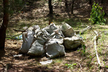 Sacchetti di immondizia nei boschi №44827