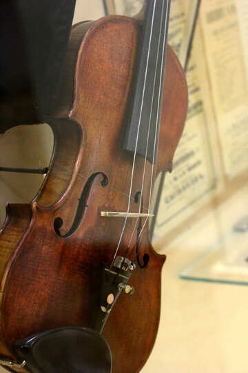 Violin №44204