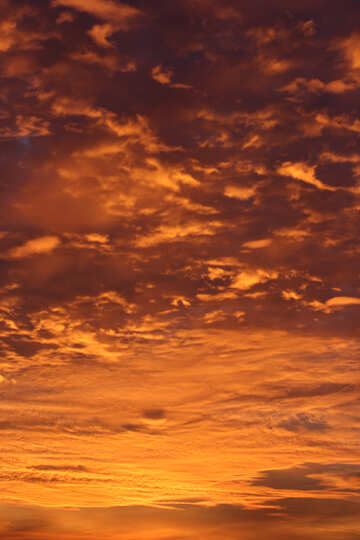 Colorato tramonto №44608