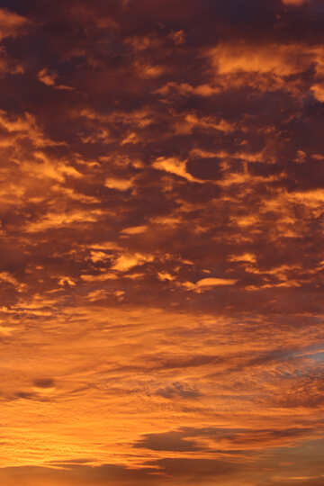 Colorato tramonto №44609