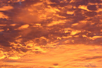 Colorato tramonto №44611