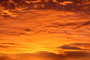 Colorato tramonto №44619