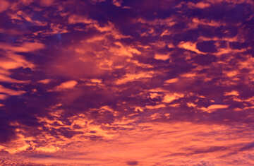 Purple sunset №44612