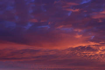 Purple sunset №44617