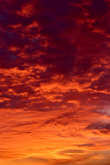 Red sunset №44626