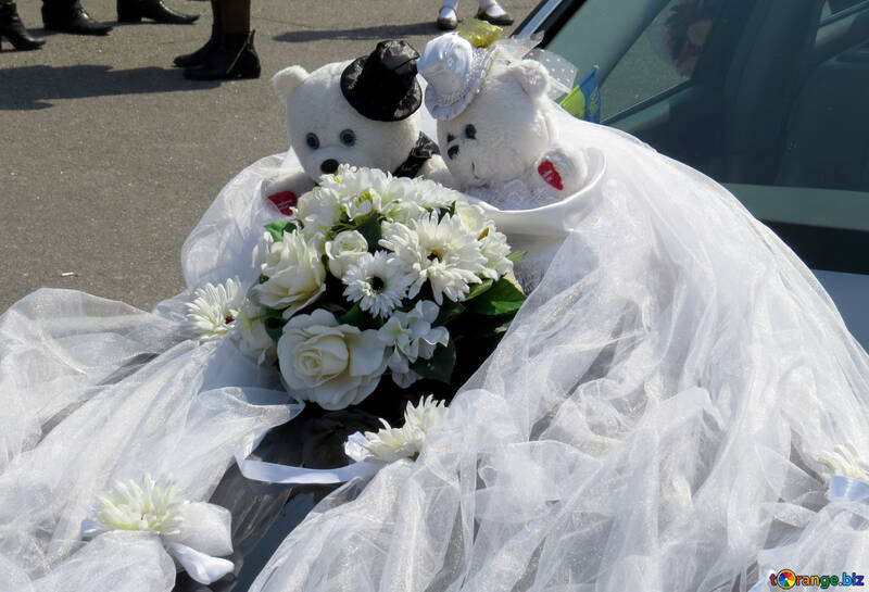 Osos de la boda en el capó №44341