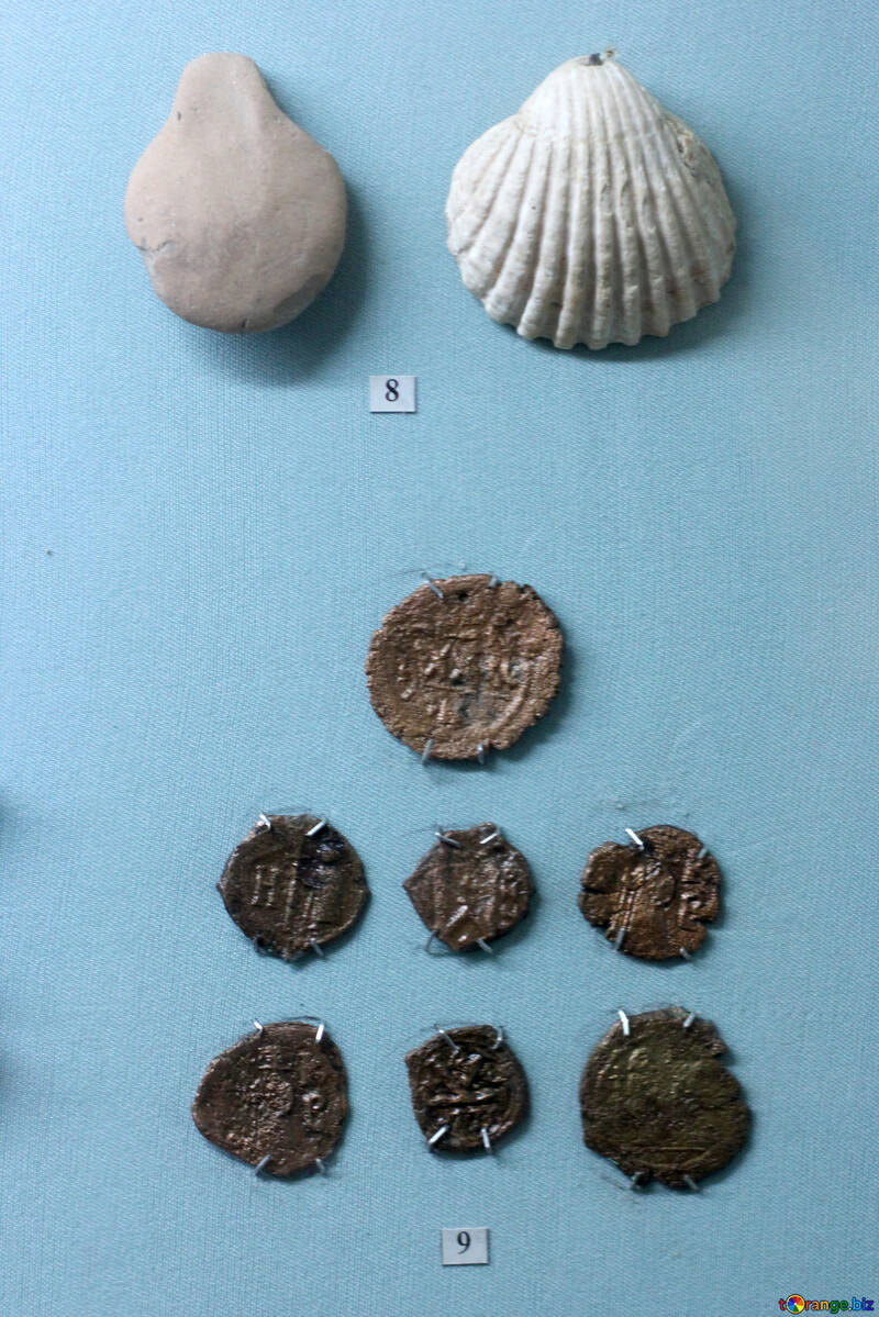 ケルソネソスの遺跡のコイン №44126