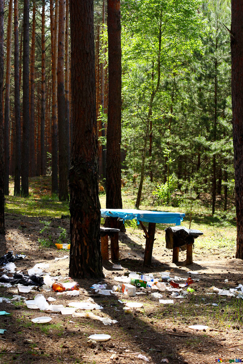 Rubbish in the forest №44820
