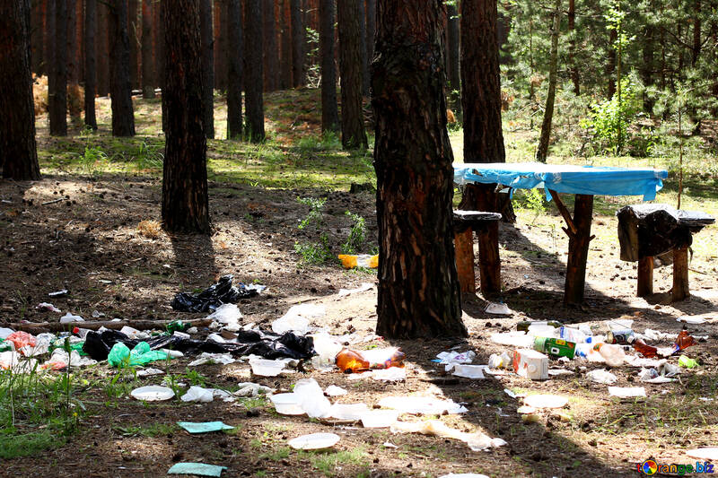 Rubbish in the forest №44821