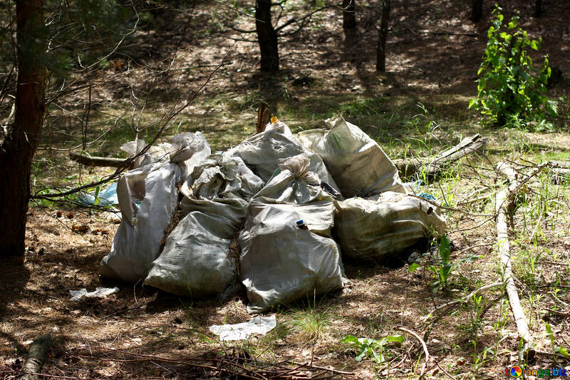 Garbage bags in the woods №44827