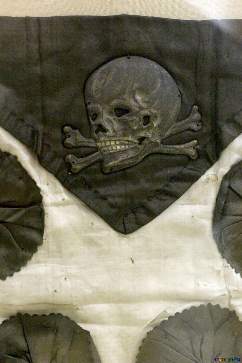 Старовинна тканина з черепом і кістками №44320