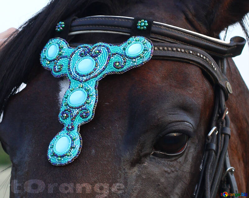 Handmade Beaded Headstall Browband Decorations Horse Jewelry. №44697