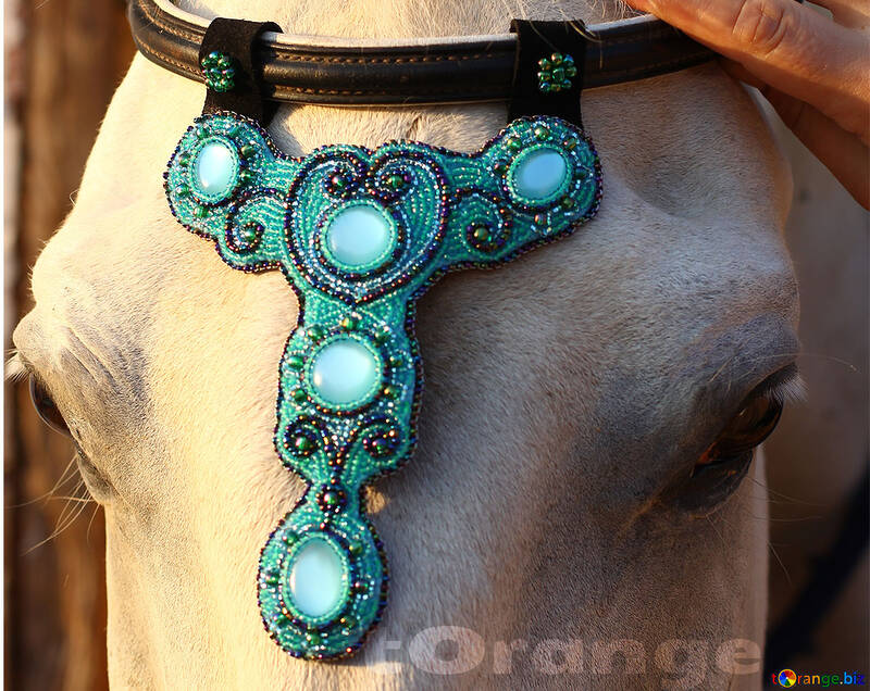 Handmade Browband Decoration Horse Jewelry Buy Free international shipping №44696