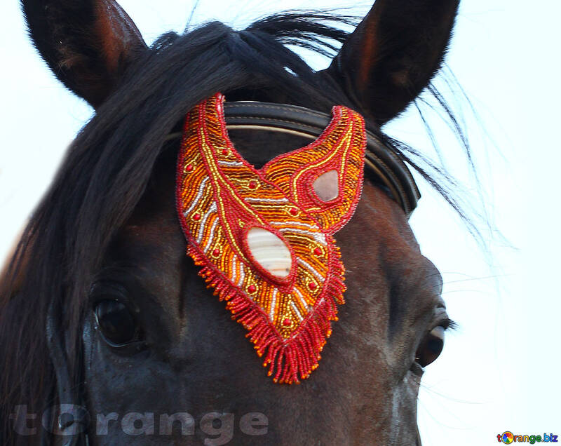 Handmade Red Browband Decoration with gemstone Agate and Carnelian Horse Jewelry Buy Free international shipping №44698