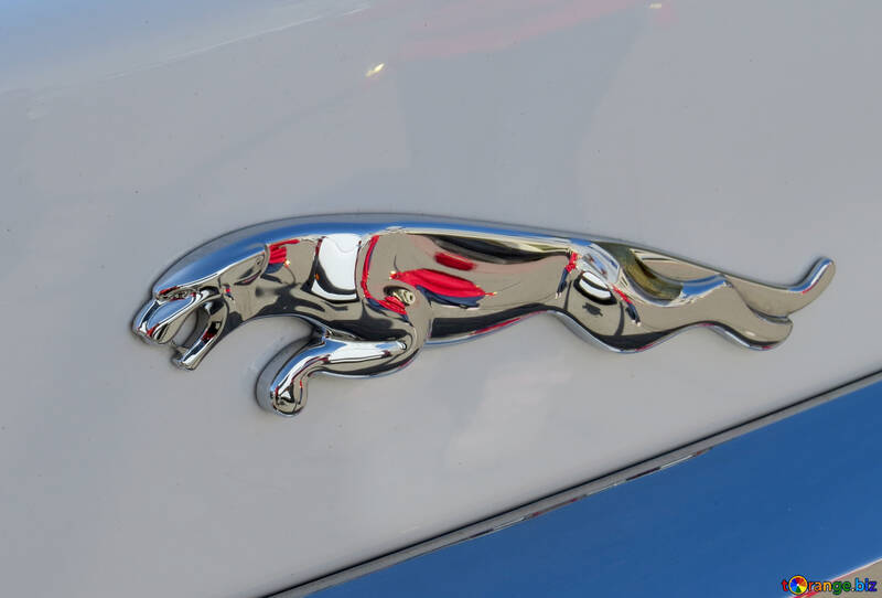 Jaguar №44447
