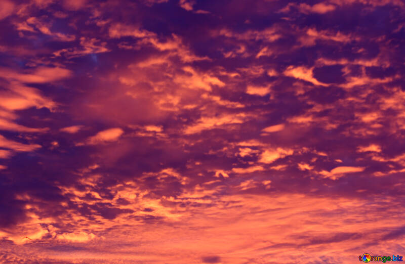 Фіолетовий захід сонця №44612